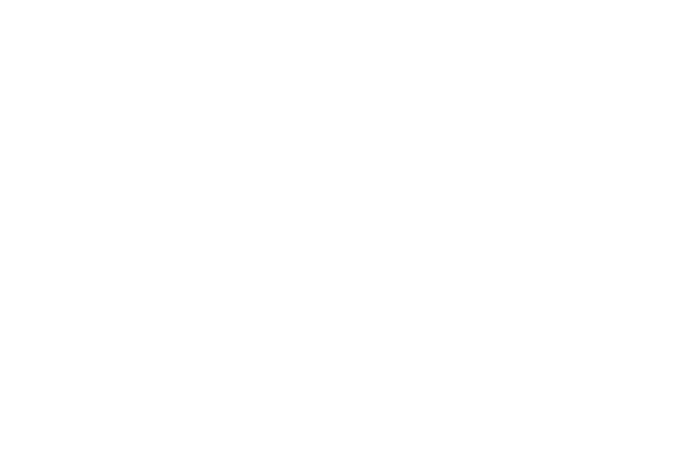 Auxilium Data Analytics